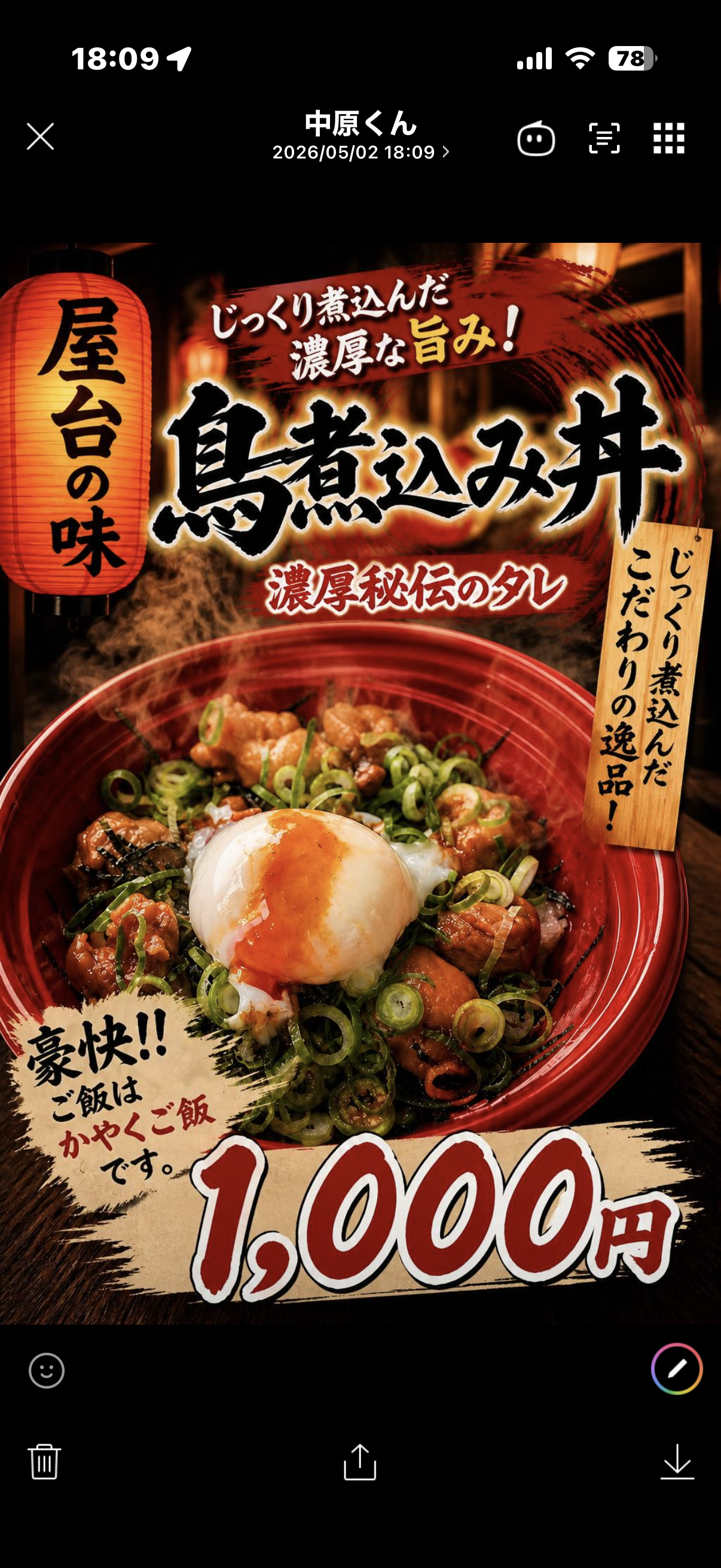 鳥煮込み丼