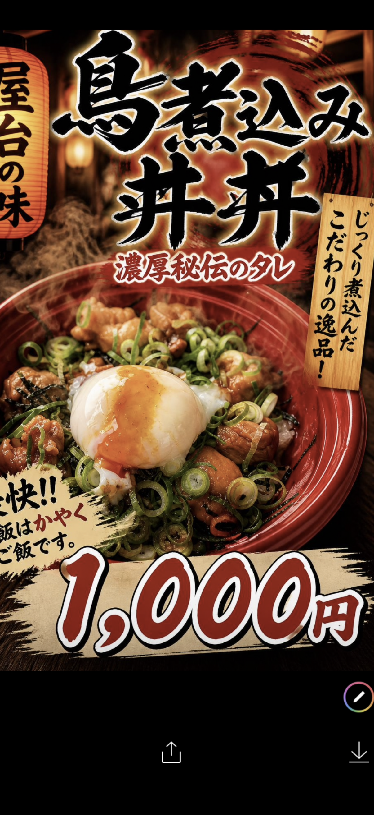 鳥煮込み丼、炭火焼き炙りフランク